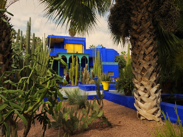 Majorelle Garden Marrakech: Tickets, How to Visit & Complete Travel Guide